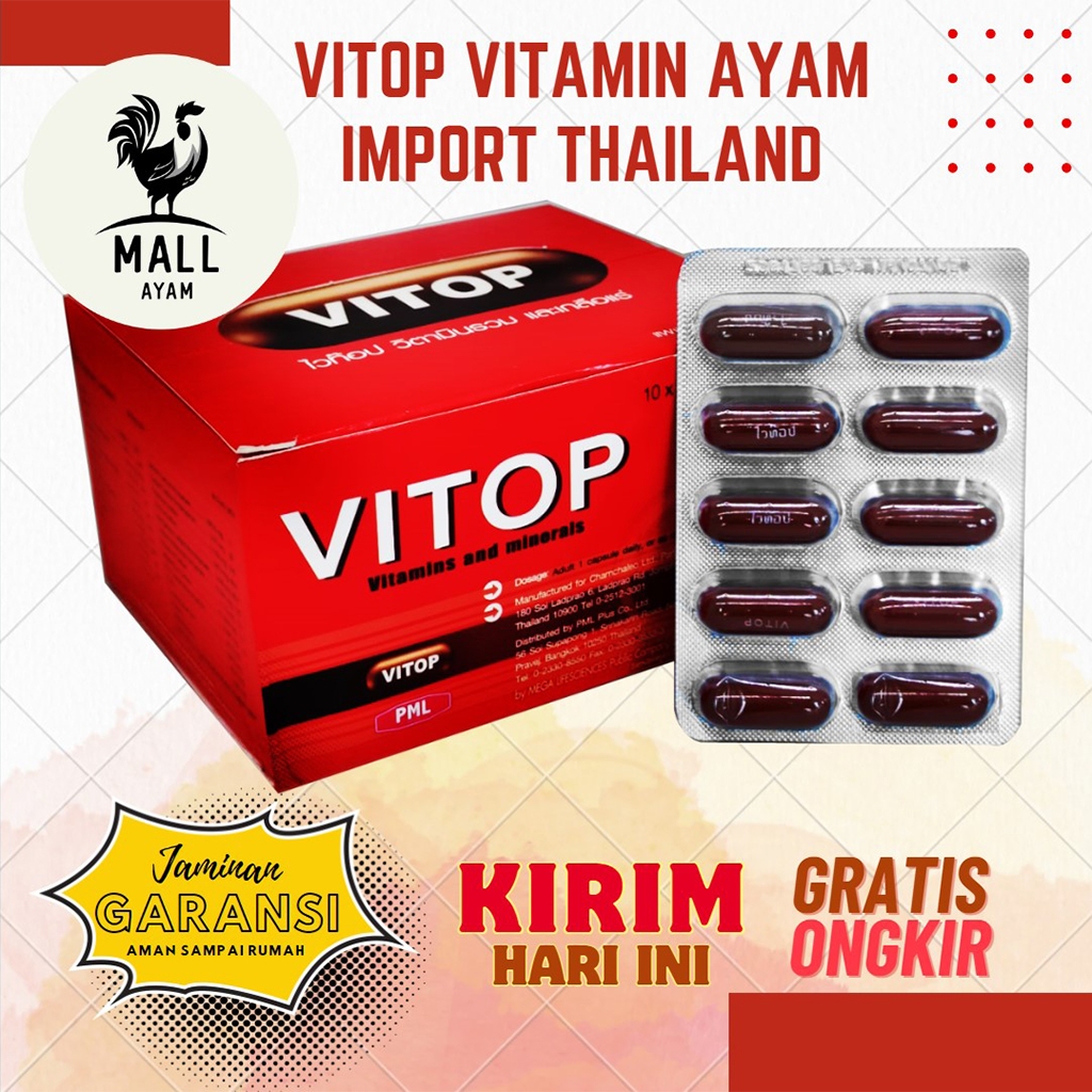 AYAM MALL Vitop 1 Strip 10 Kapsul Import Thailand Suplemen Doping Ayam Bangkok Aduan Laga Pertarung Jantan Jago Vitamin Obat Burung Merpati Ayam Nafas Panjang