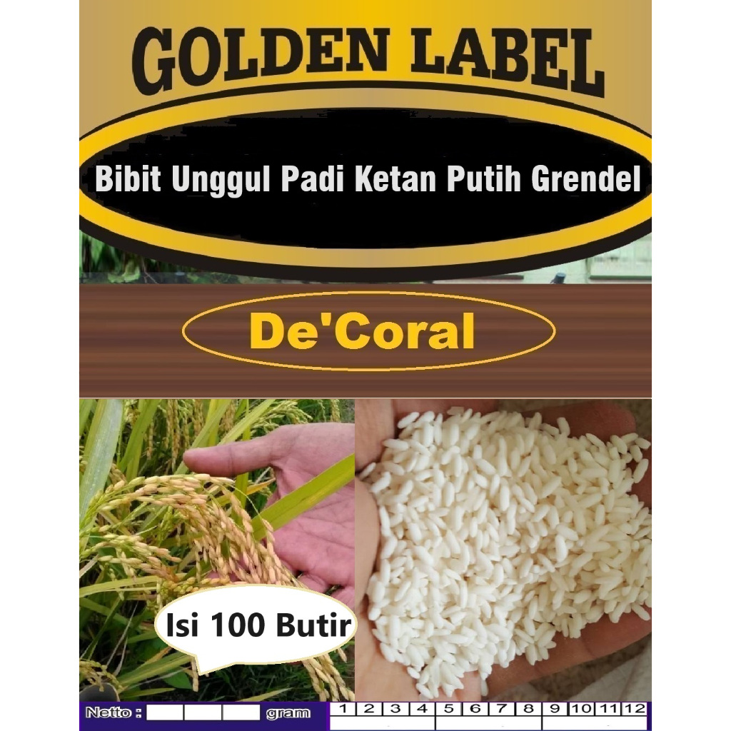 Bibit Unggul Padi Ketan Putih Grendel | Biji Benih Padi Ketan Putih Grendel