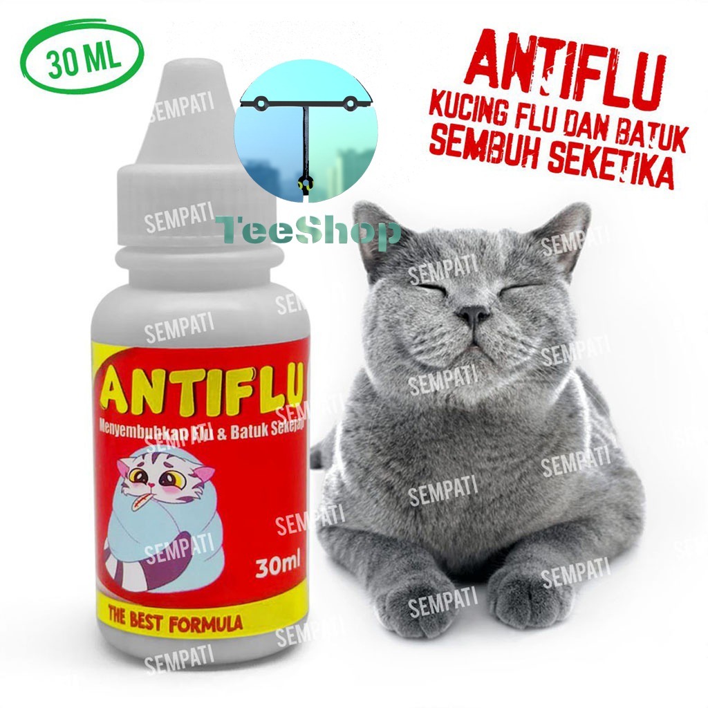 GROSIR Obat Kucing Anti Flu Pcs Obat Batuk Pilek Antibiotik Kucing Kitten Anabul Atasi Bersin Sariaw