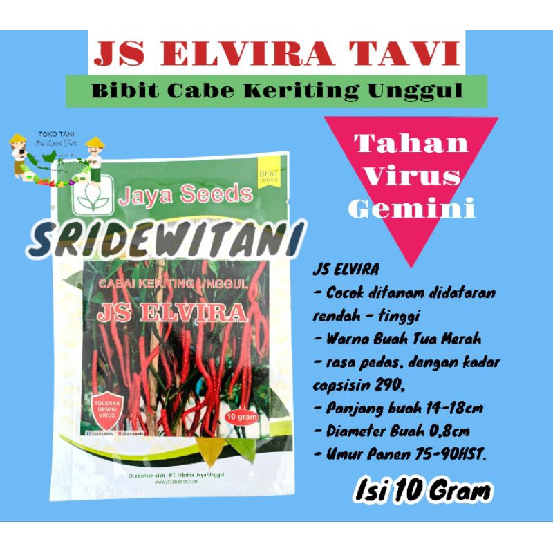 Benih Bibit CABE Keriting Unggul JS ELVIRA 10 GRAM JAYA SEED Setara Kastilo F1