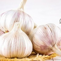 

LOLA Langsung Order Langsung Antar Bawang Putih KATING Bonggol Garlic Grade A 200 gr