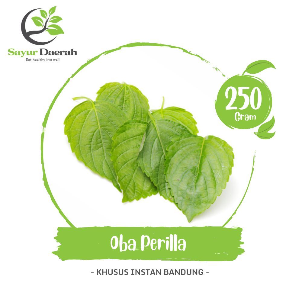 

Daun Oba Perila 250 Gr | Sayur Daerah