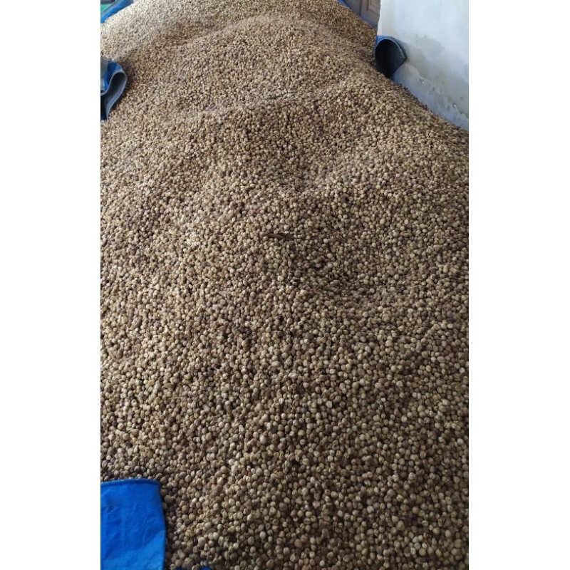 

kapulaga kering 20kg grosir cargo murah