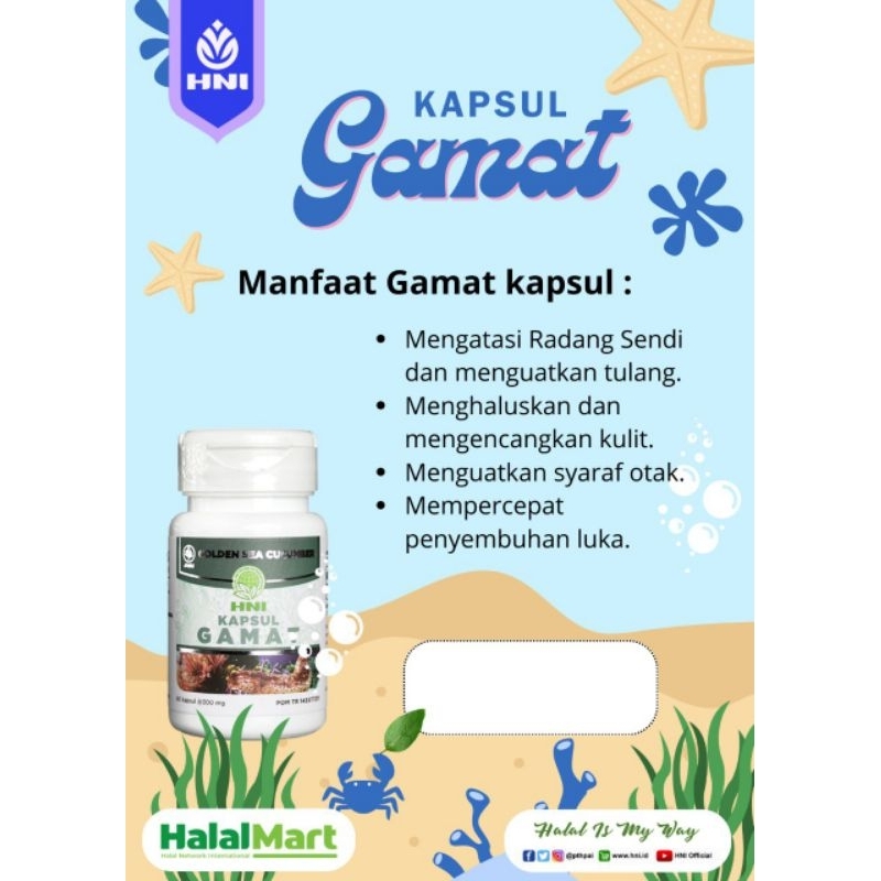 GAMAT / TERIPANG EMAS HNI ORIGINAL