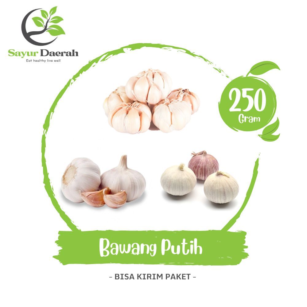

Bawang Putih Honan Kating Tunggal 250 Gr | Sayur Daerah
