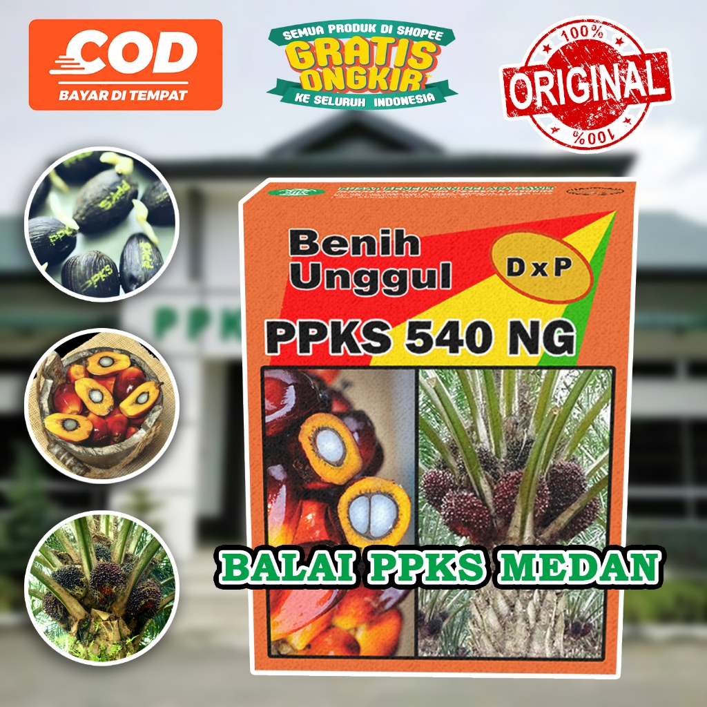 PPKS DxP 540NG Super Unggul Dapat Sertifikat Dan Bonus