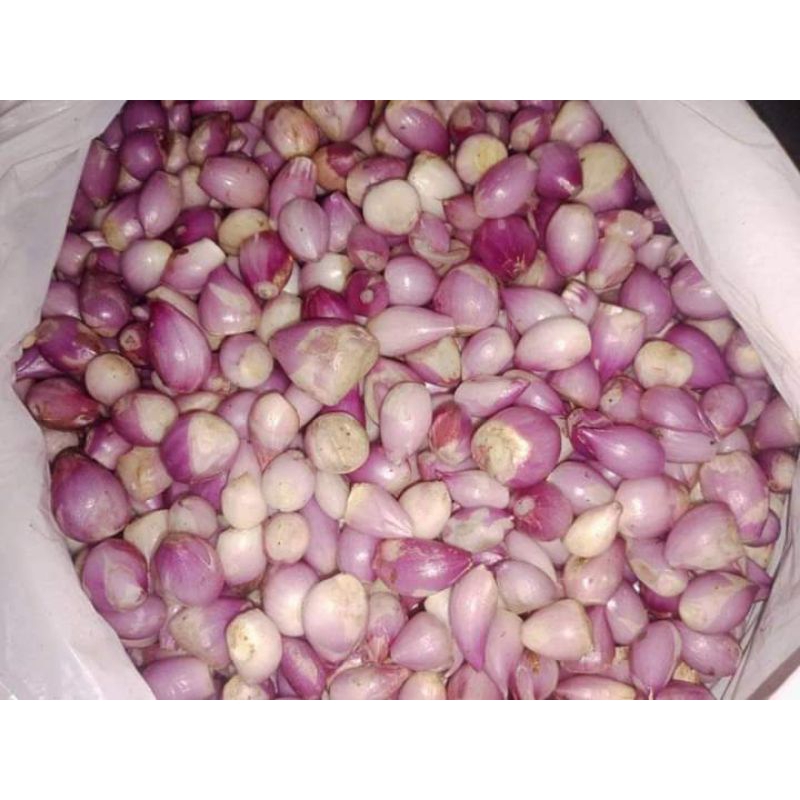 

bawang merah kupas 1/2kg