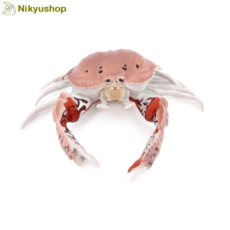 [Nikyushop] Mainan Edukasi Pajangan Miniatur Hewan Kepiting Calappa Crab