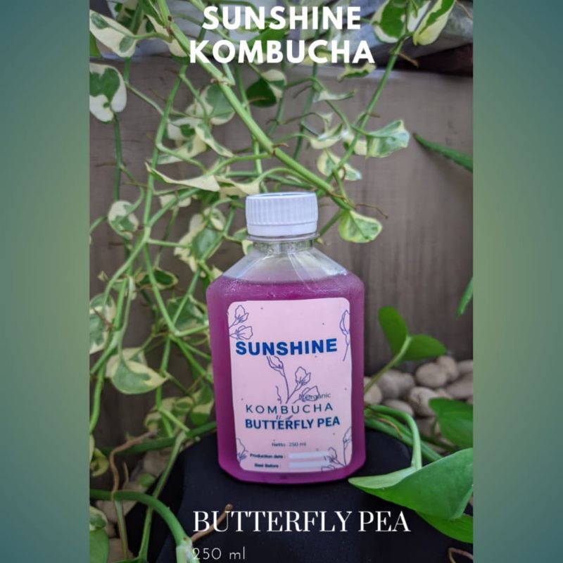 

Kombucha Butterfly Pea Sunshine 250ml