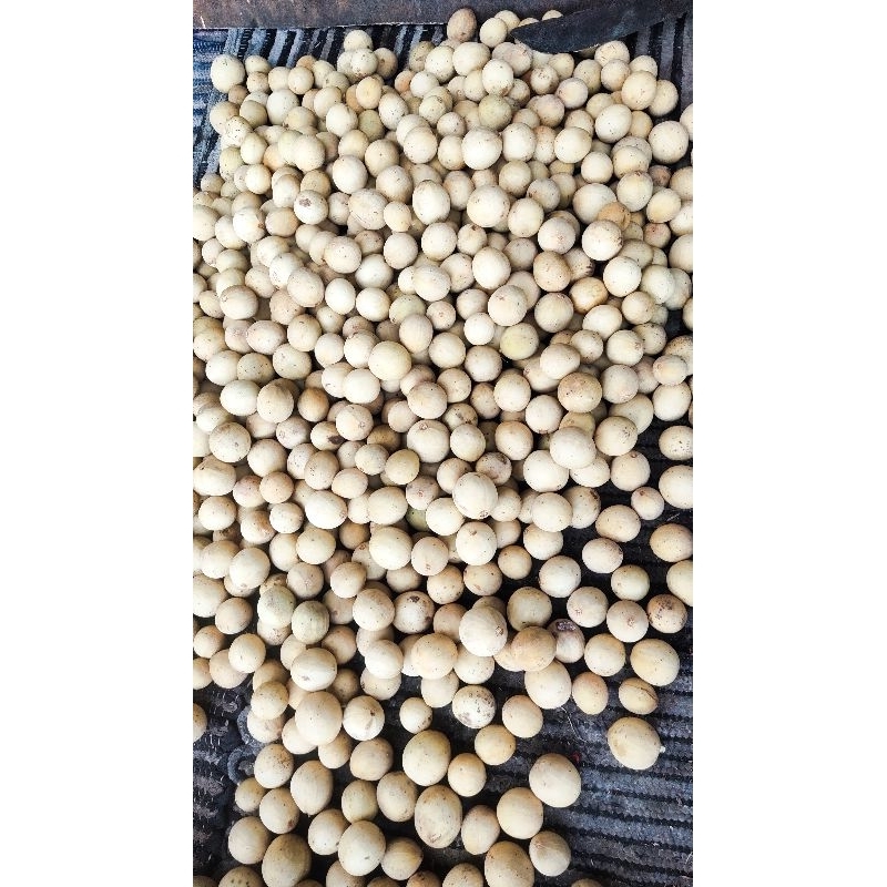 

duku Palembang/1kg