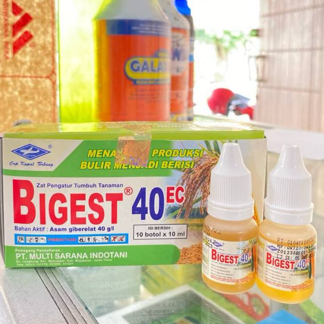 BIGEST 10 ML ZAT PENGATUR TUMBUH / BIGEST 10ML ZPT ORIGINAL