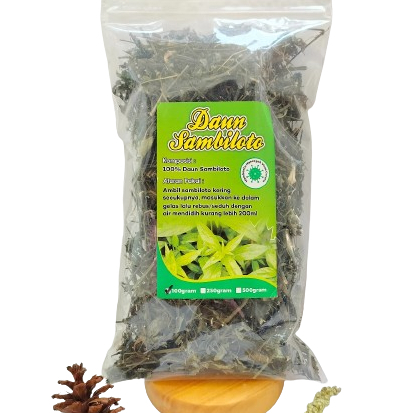 

DAUN SAMBILOTO | JAMU DAUN SAMBILOTO