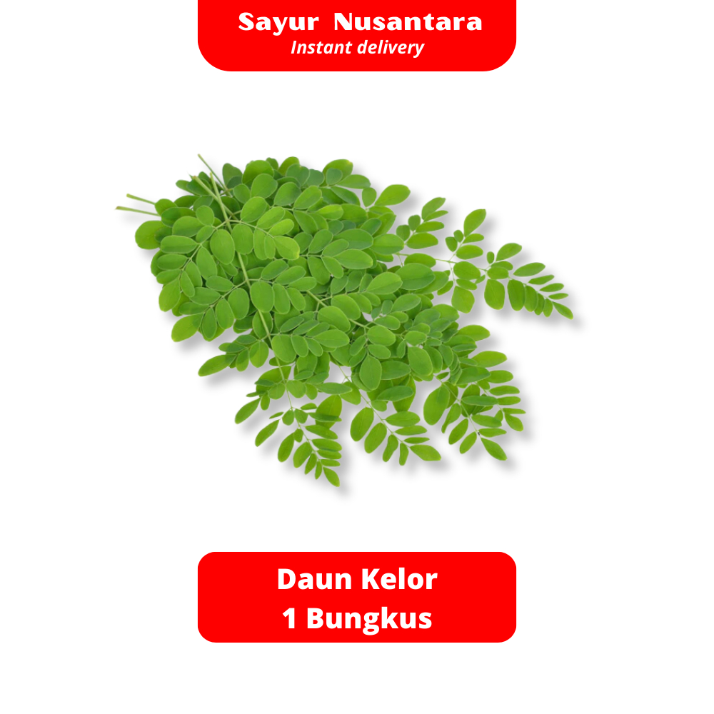 

Daun Kelor 1 Bungkus - Sayur Nusantara