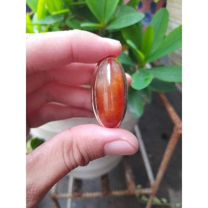 Cincin Batu Pandan Sisik Naga Jamblang Natural