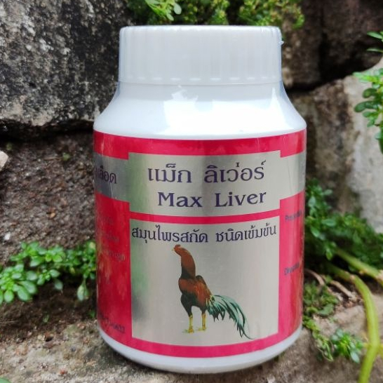 Max Liver Obat Ayam Sakit Kuning, Pucat Liver / MAXLIVER obat ayam sakit kuning, liver, pucat