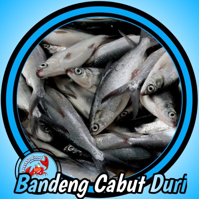 

BANDENG CABUT DURI 1 kg