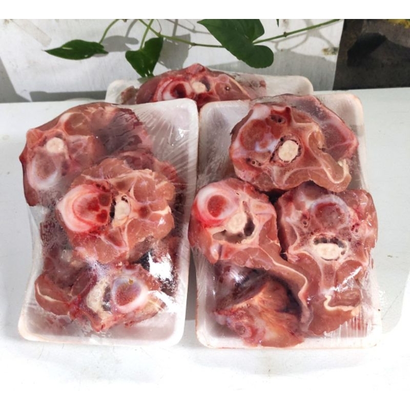 

igon muda (iga gondrong muda)