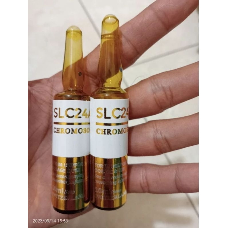 original slc24a5 gold chromosome