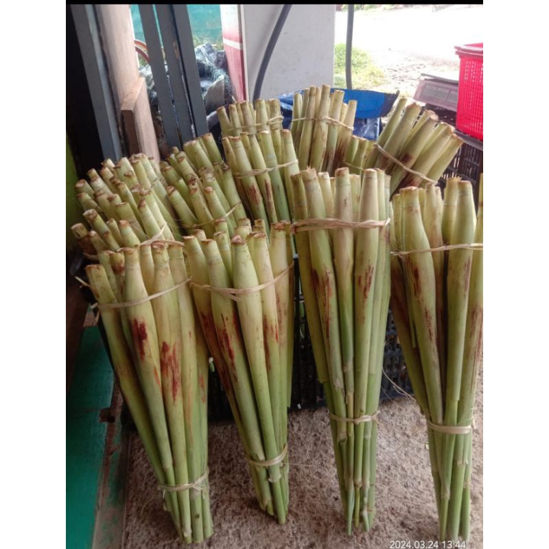 

TURUBUK [Makanan Berkhasiat]