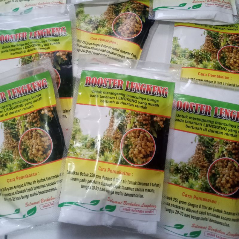 Pupuk Boster Kelengkeng Pupuk Perangsang Buah Kelengkeng