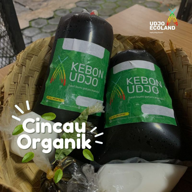 

CINCAU ORGANIK