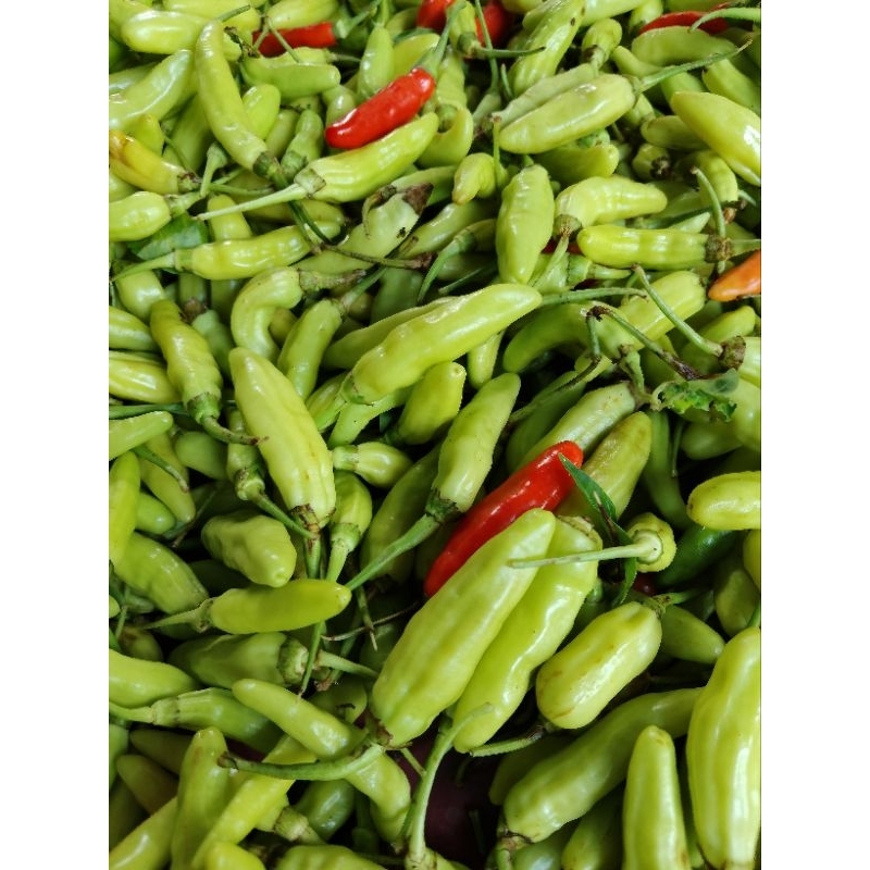 

1KG CABAI RAWIT LOKAL/NDESO TAHAN LAMA