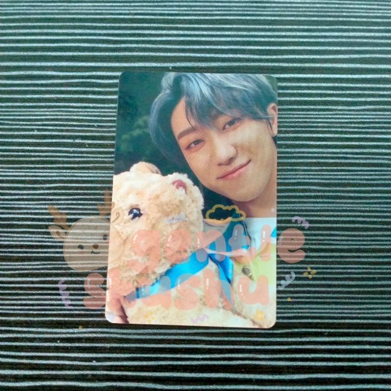 DICON 101 TEDDY THE8 HAO SEVENTEEN