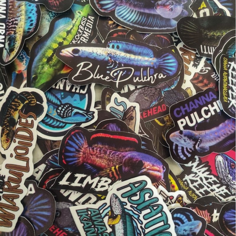 

STICKER IKAN MURAH GROSIR 500 PCS