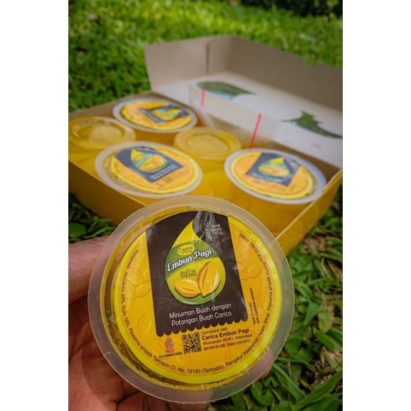 

CARICA EMBUN PAGI KUALITAS TERBAIK OLEH OLEH DIENG WONOSOBO