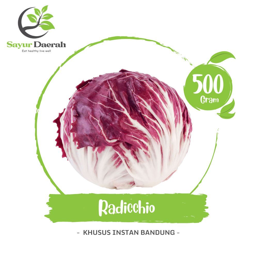 

Sawi Merah Radicchio 500 Gr | Sayur Daerah