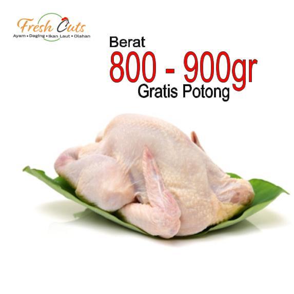 

Ayam Karkas Broiler 800 gr / Ayam Potong Utuh Segar 1 Ekor Ukuran 0.8 Fresh cuts Termurah