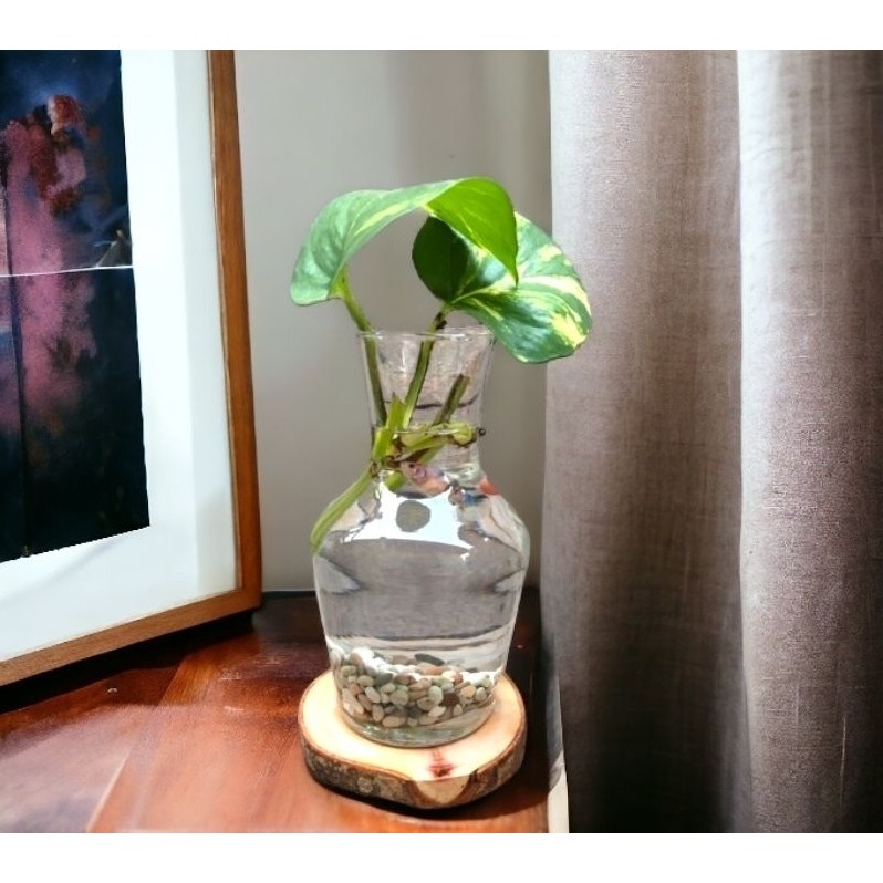 URBAN CRAFT - VAS BUNGA KACA BENING MINIMALIS / VAS TABUNG / POT TANAMAN AIR HIDROPONIK / VAS KACA T