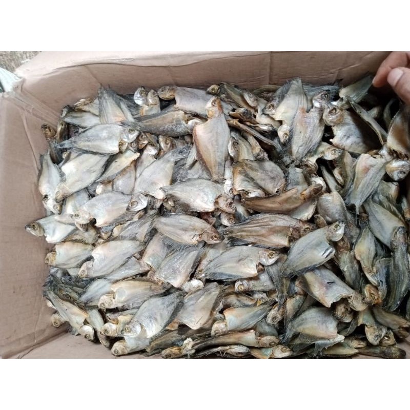 

ikan asin sepat kecil betok 100 gram ikan asin fresh