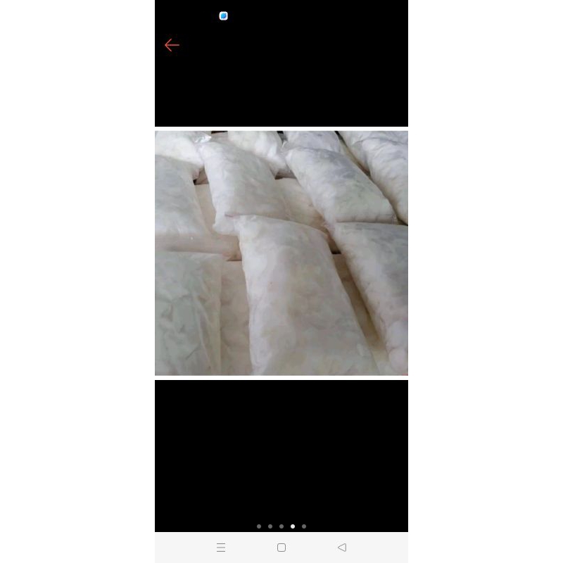 daging kelapa muda frozen