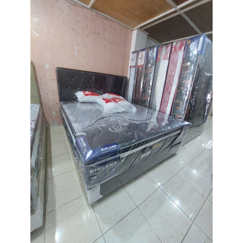 springbed eagle pocket bigland