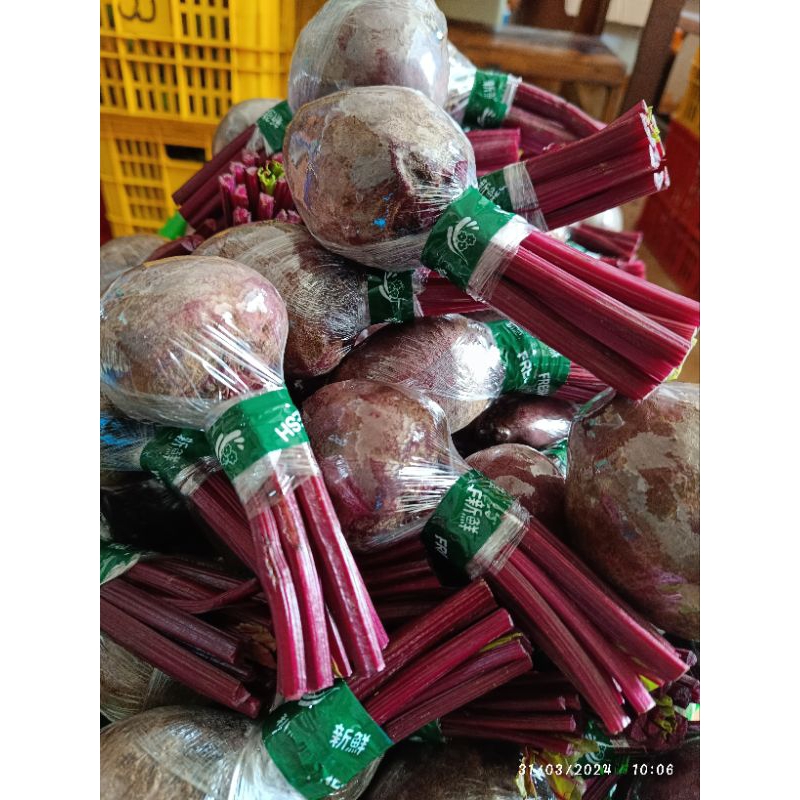 

Buah bit 1 kg spek market fresh