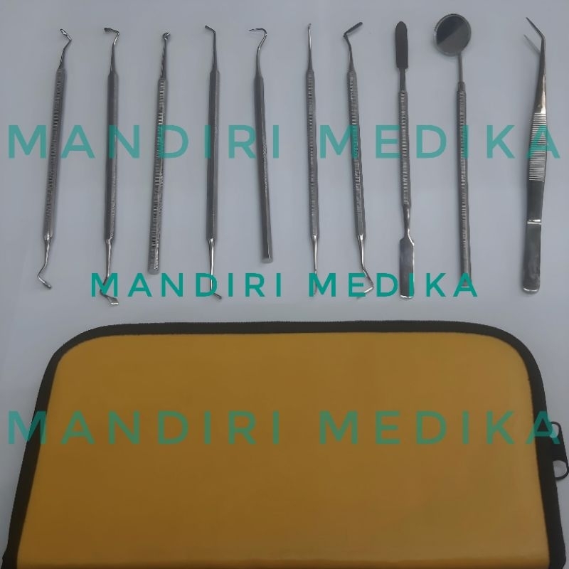 Dental Set isi 10 Dental Diagnostic Set Stainless + Tas
