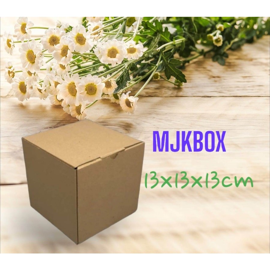 

KARDUS/ KARTON/BOX UK. 13x13x13 CM.........MODEL KARDUS PIZZA