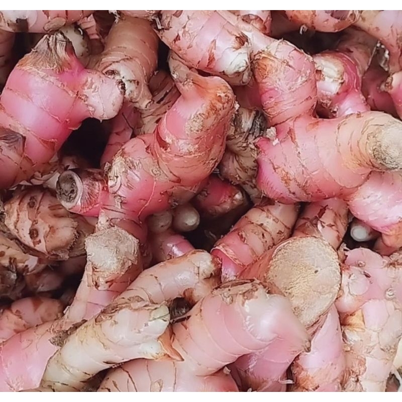 

lengkuas/laja/laos 1kg