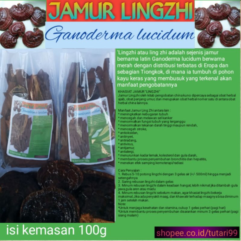 

jamur linkzhi iris kering