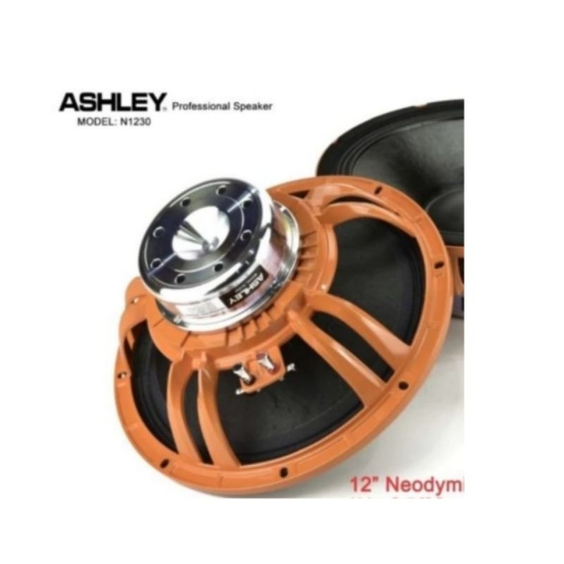 SPEAKER KOMPONEN ASHLEY 12 INCH N 1230 ORIGINAL ASHLEY