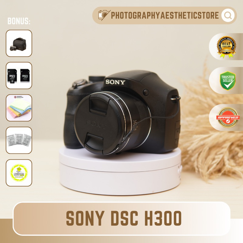 SONY H300 Sony DSC H300