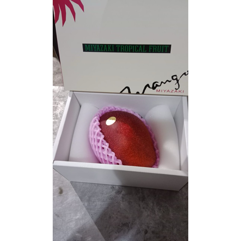 

Mangga Miyazaki Tropical Fruit (Jepang)