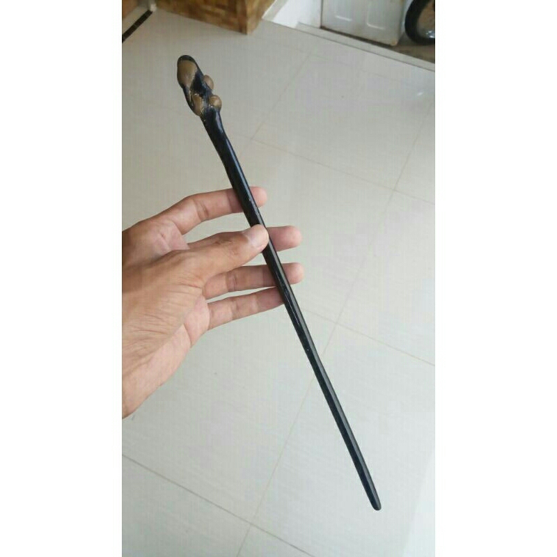 Akar bahar hitam batang tunggal
