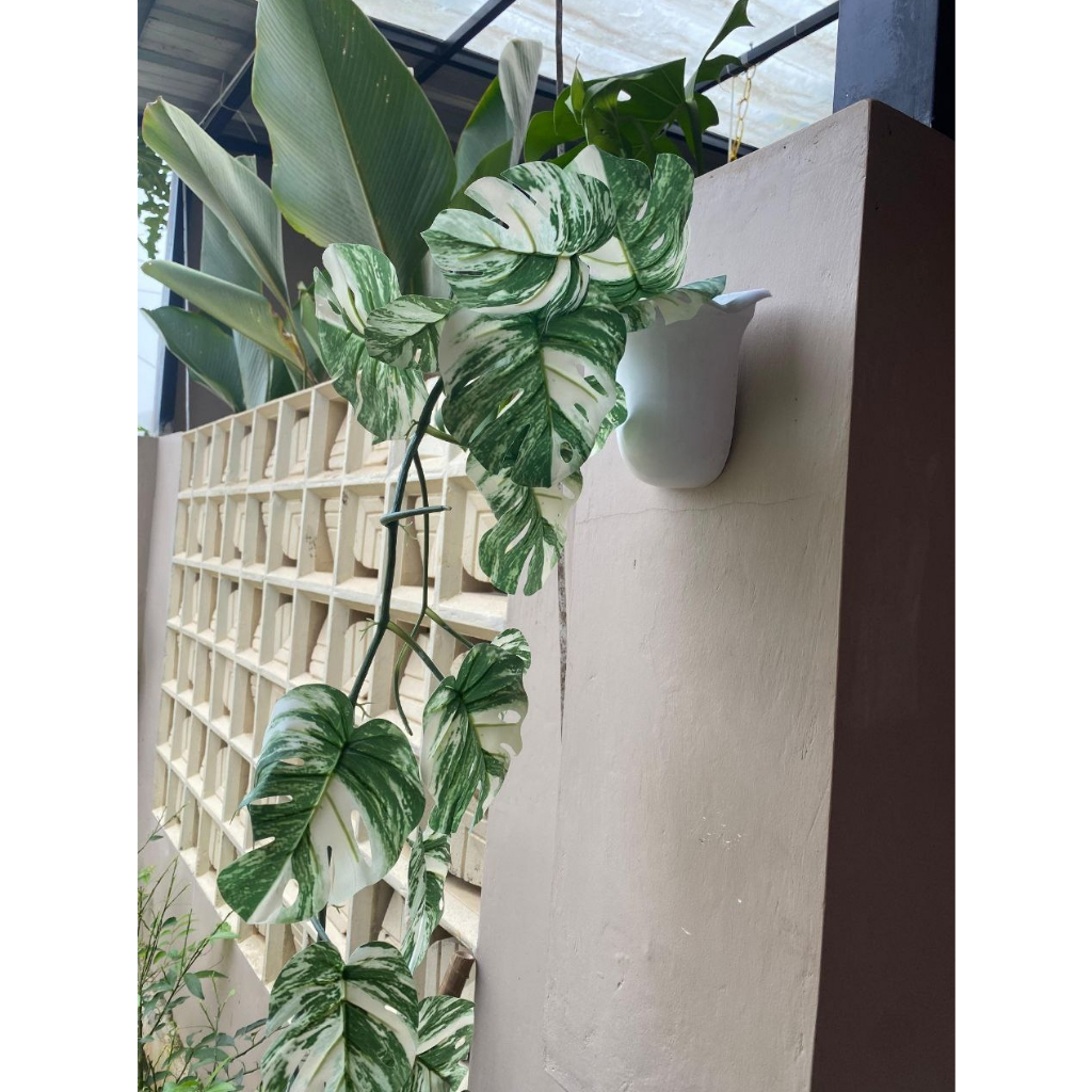 TANAMAN ARTIFICIAL GANTUNG DAUN RAMBAT TANAMAN HIAS JUNTAI