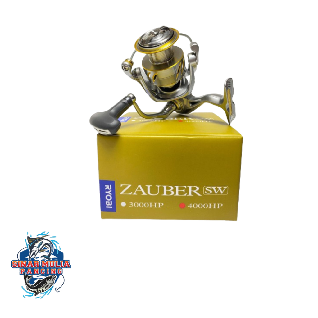 RYOBI ZAUBER SW 4000HP
