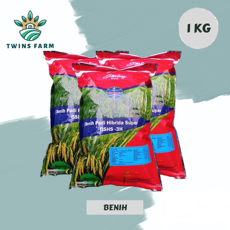 Benih padi hibrida BSHS-3H atau SL3 1kg, umur panen super genjah. by Sterling seed