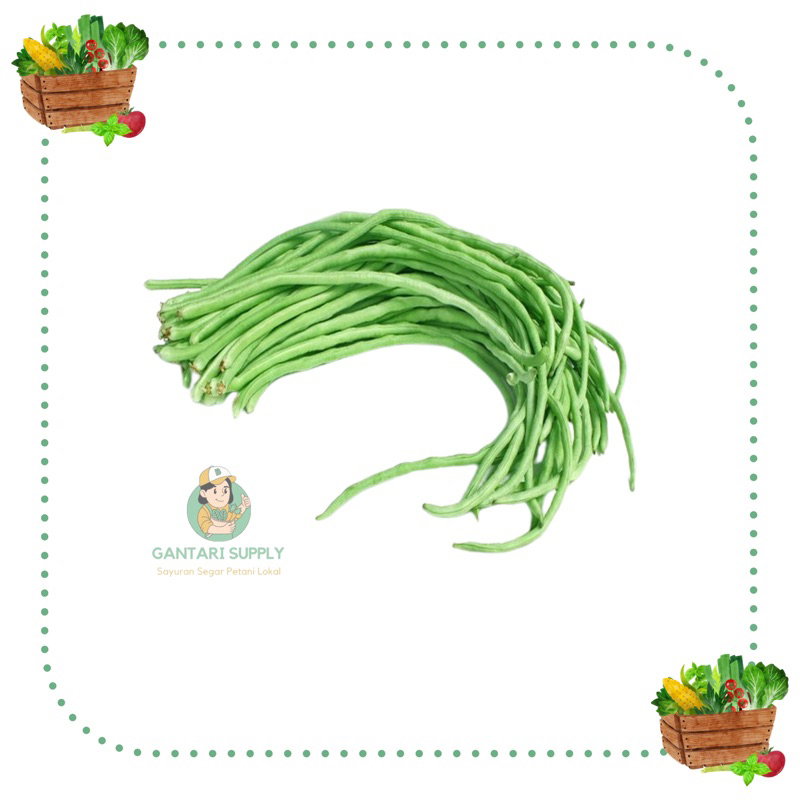 

Kacang Panjang Fresh & Segar