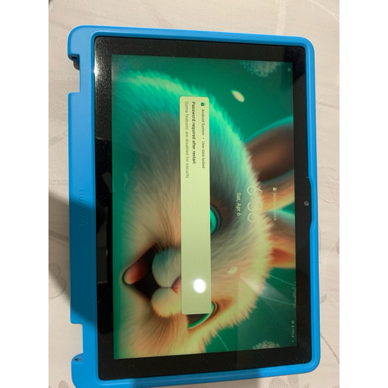 HUAWEI MATE 1 (second)