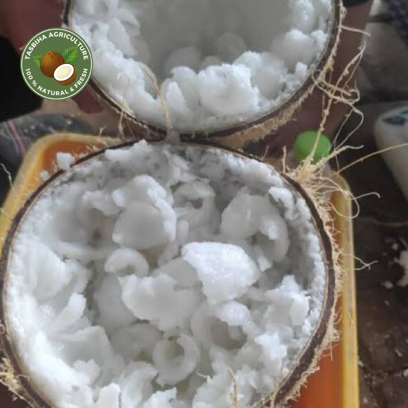 

Kelapa kopyor asli Pati UK 45 46 Bergaransi